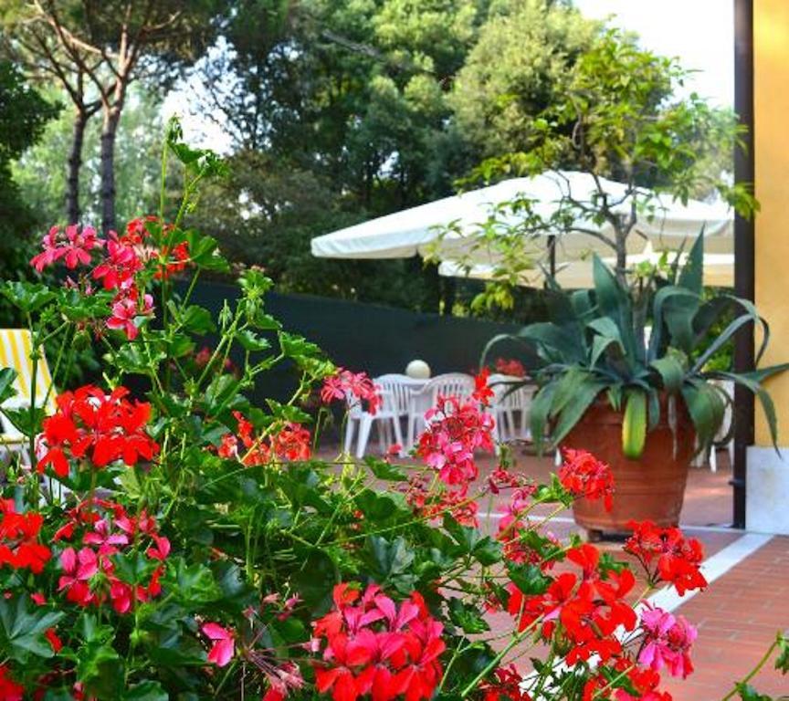 Hotel Villa Fiorisella Марина-ди-Масса Экстерьер фото